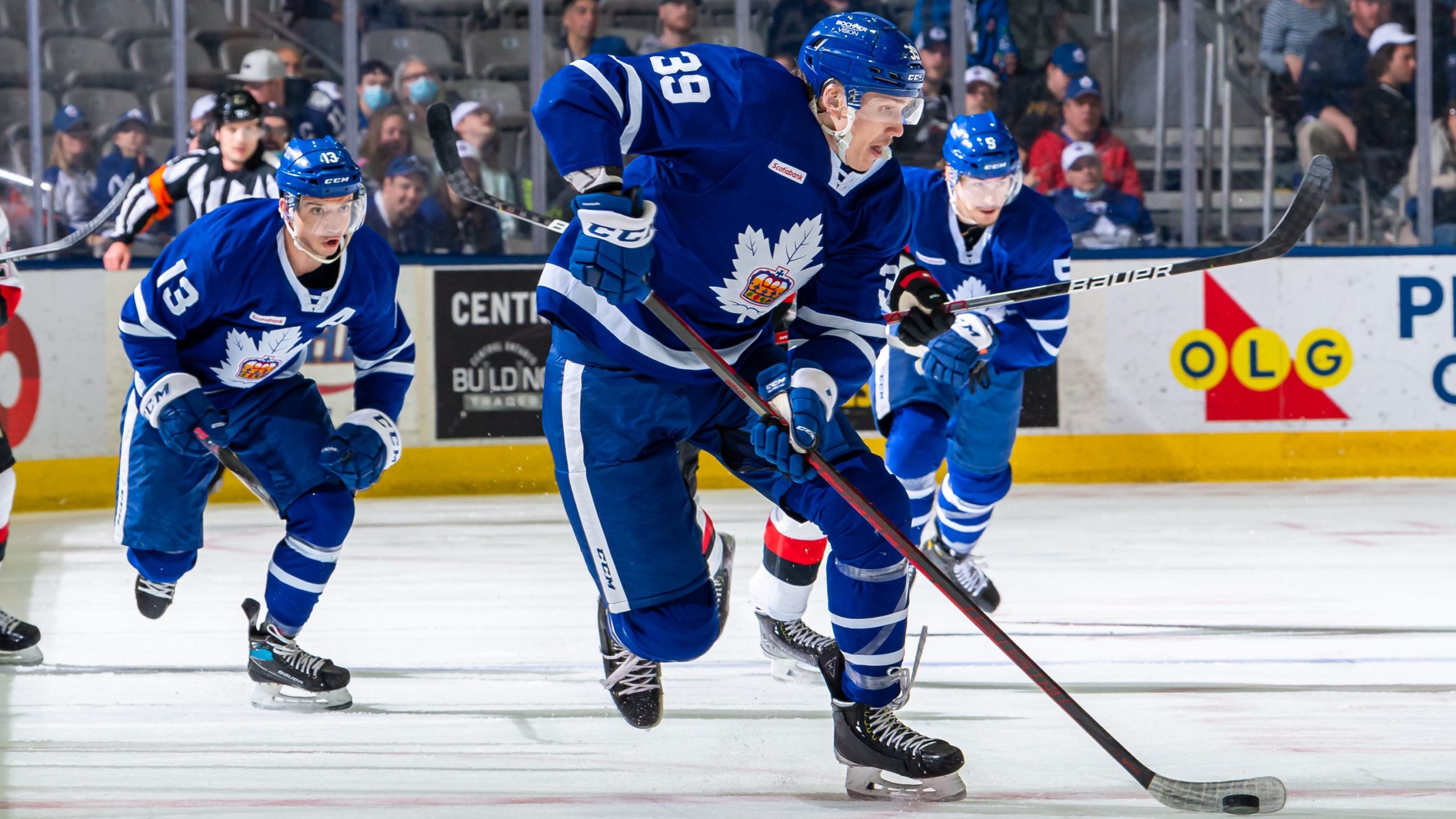 Hockey: Toronto Marlies vs Hartford Wolf Pack